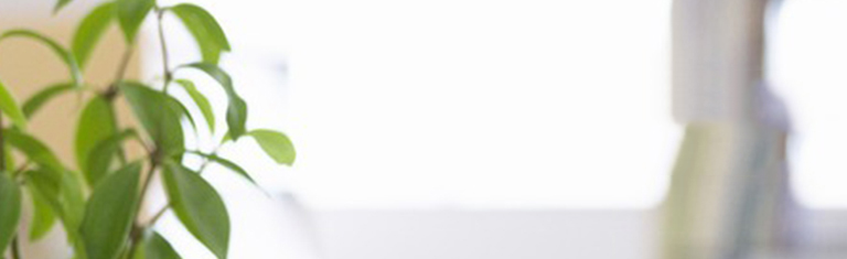 网站地图wapBanner