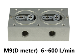 Differential fuel flow meter