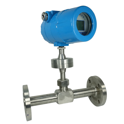 Thermal Gas Mass Flow Meter1.jpg
