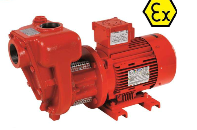 Gasoline Transfer Pump